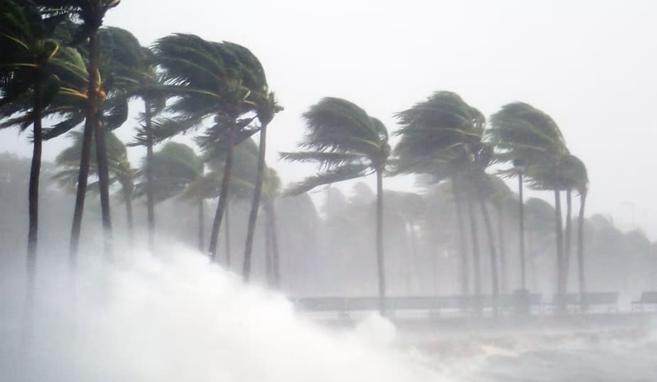 Protecting Your Florida Home: Comprehensive Guide to Homeowners Insurance in the Sunshine State